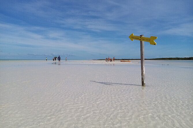 Full Day Excursion to the Best of Holbox From Riviera Maya - Lunch and Drinks: Ceviche Picnic Style on the Water