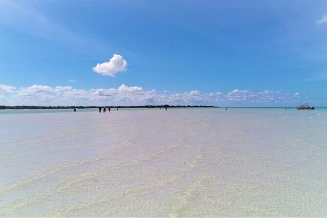 Full Day Excursion to the Best of Holbox From Riviera Maya - Price Check: Is $99 Worth It With the Extra $40?