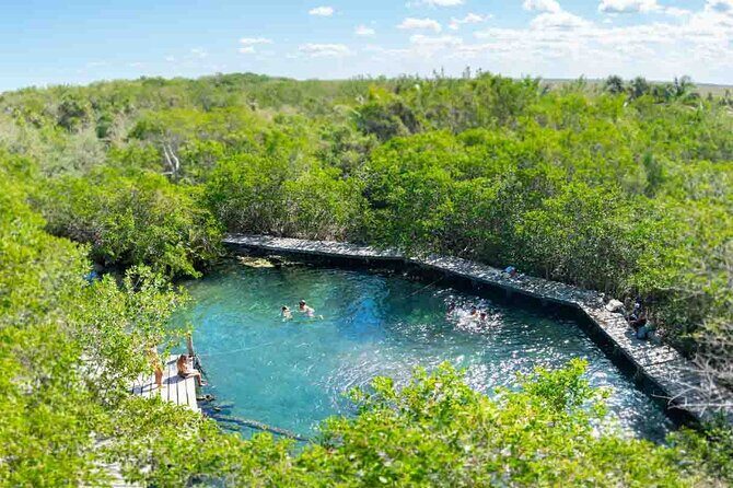Full Day Excursion to the Best of Holbox From Riviera Maya - Holbox Island Free Time: How to Use Your 2 Hours Best