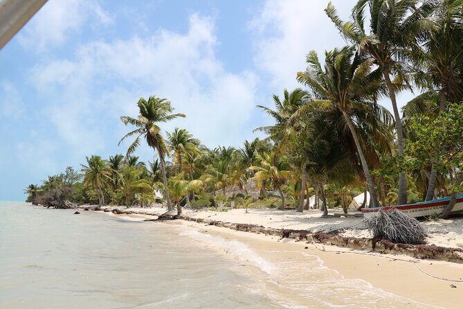 Full Day Guided Tour to Sian Ka'an (short way) - Snorkeling in a Natural Pool: The Main Event (With Gear Included)