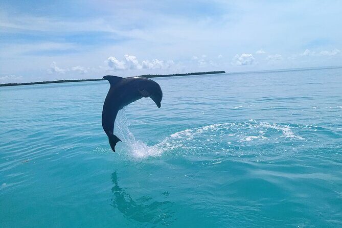 Full Day Guided Tour to Sian Ka'an (short way) - Guide Power: Why Alex and Carlos Matter