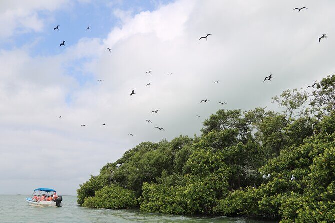 Full Day Guided Tour to Sian Ka'an (short way) - Price and Value: What $235 Covers and Why It’s Not Just a Drive