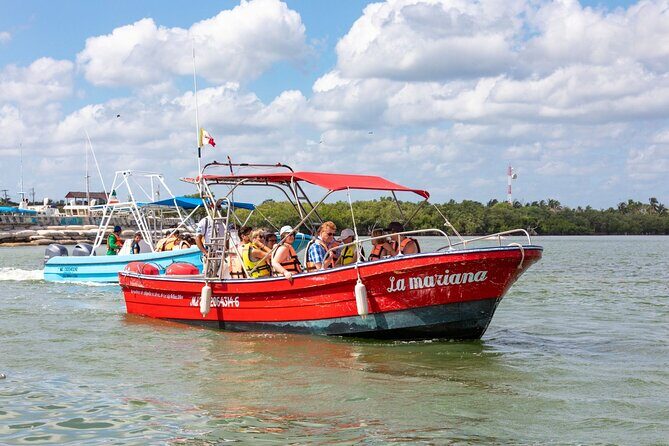 Full-Day Holbox Island Boat and Buggy Tour with Lunch - Holbox Island by buggy: fun movement, not a sightseeing bus