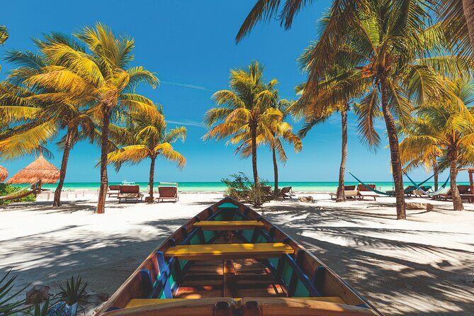 Full-Day Holbox Island Boat and Buggy Tour with Lunch - The Chiquila private boat ride: where the wildlife show happens