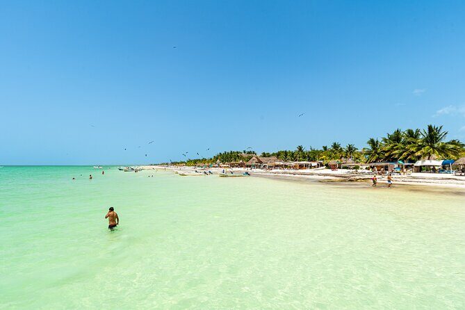 Full Day Holbox Island Tour from Playa del Carmen with Lunch - A Full-Day Holbox Plan That Actually Makes Sense