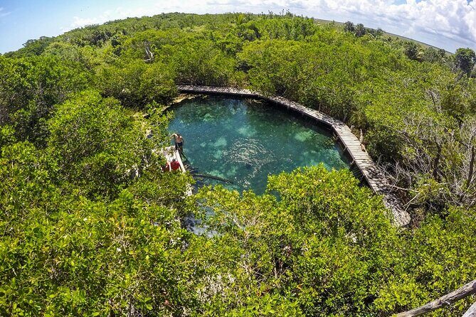 Full Day Holbox Island Tour from Playa del Carmen with Lunch - Lunch Details and What They Mean for Your Energy