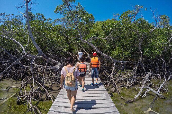 Full Day Holbox Island Tour from Playa del Carmen with Lunch - Price and Value: What You’re Really Paying For