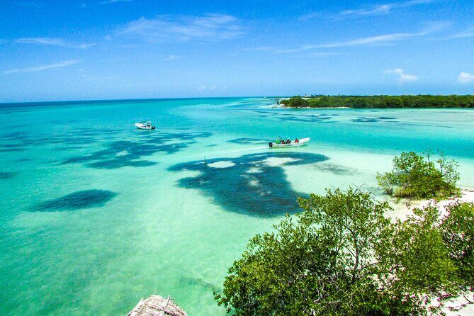 Full Day Holbox Island Tour from Playa del Carmen with Lunch - Isla de la Pasión: Views and Seasonal Bird Spotting for One Solid Hour