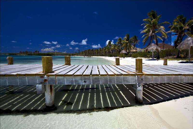 Full Day Nature Expedition to Contoy Island and Isla Mujeres - Why This Tour Works: Nature First, Then Island Time
