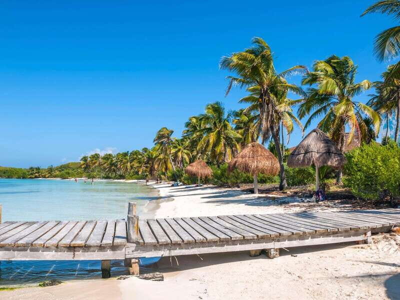 Full Day Nature Expedition to Contoy Island and Isla Mujeres - Contoy Island: Protected Nature Reserve With Real Wildlife Time
