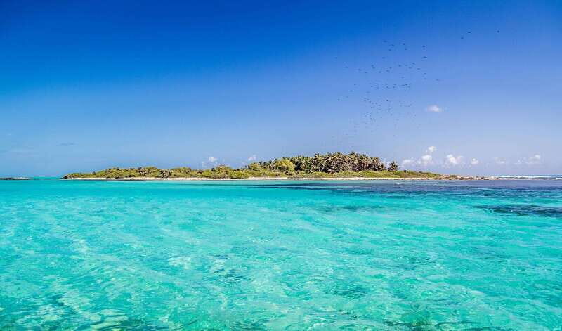 Full Day Nature Expedition to Contoy Island and Isla Mujeres - What’s Included vs Not: Photos and Souvenirs