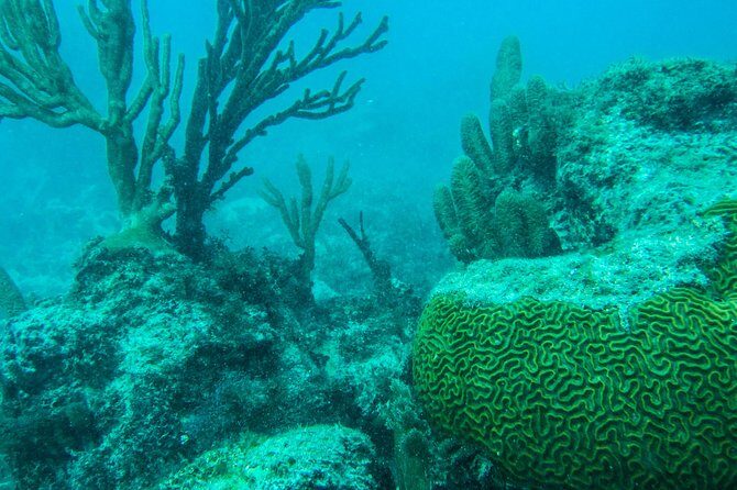 Full-Day Sailing Trip to Mujeres Island from Playa del Carmen - The Catamaran Sail to Isla Mujeres: Timing, Comfort, and Photos