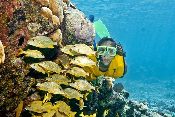 Full-Day Snorkel Extreme Adventure Tour from Riviera Maya - Snorkel to Cenote: the big idea that makes this tour work