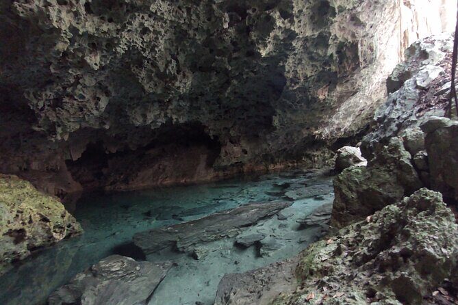 Full-dayTurtle Adventure: ATV, Zipline, Cenote & Turtle Swim - Mayan ceremony and hammock time: when the pace slows