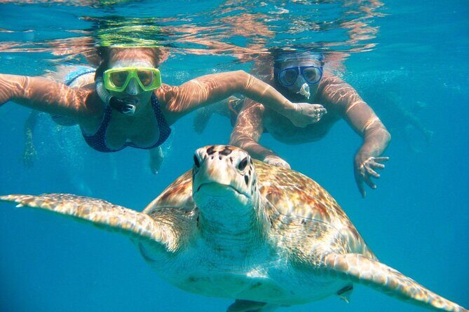 Full-dayTurtle Adventure: ATV, Zipline, Cenote & Turtle Swim - ATV 20 km: riding time, age rules, and what to wear
