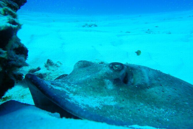 Fun dives Cozumel south marine park - Lunch between sessions: why it’s part of the value