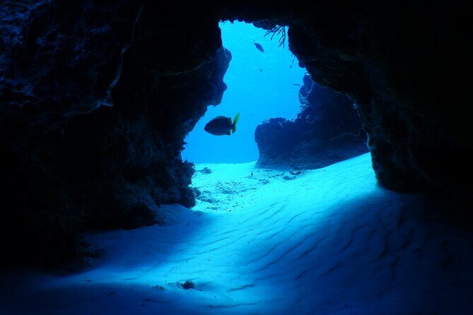 FunDiving in Cozumel - By Ferry - 2 Tanks in the wonderful Caribbean sea - The second Cozumel site: making the most of limited time