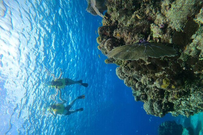 Get to know heaven on earth with Chivis del mar private - The guides: Barbara and Jose know how to get you comfortable