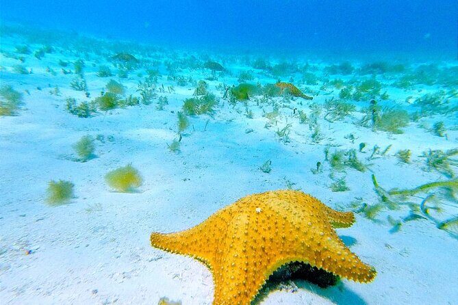 Get to know heaven on earth with Chivis del mar private - What to bring: reef-safe sun protection beats guesswork