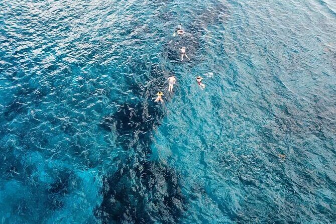 Get to know heaven on earth with Chivis del mar private - Stop 1: Palancar Reef and the Palancar Herradura vibe