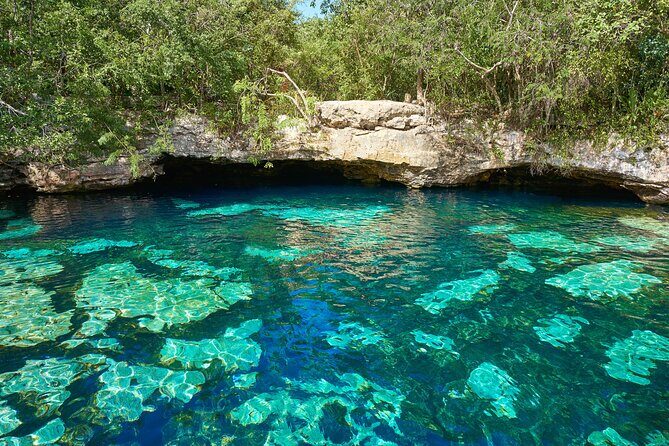 Half Day Private Snorkeling with Turtles and Majestic Cenotes - Why Akumal’s Turtle Sanctuary and Tulum Cenotes Work Together