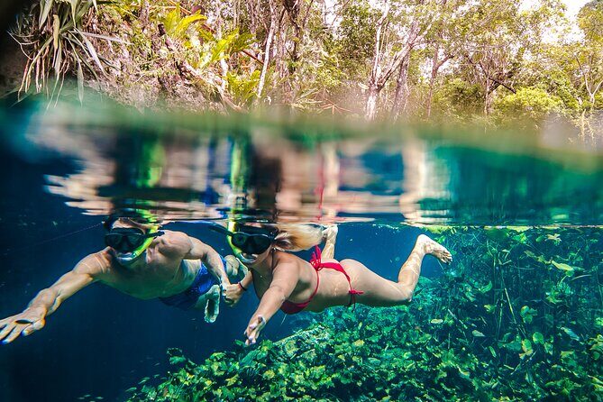 Half Day Private Snorkeling with Turtles and Majestic Cenotes - Yum-Ha Cenote Swimming: Underground Water, Stalactites, and Calm Focus