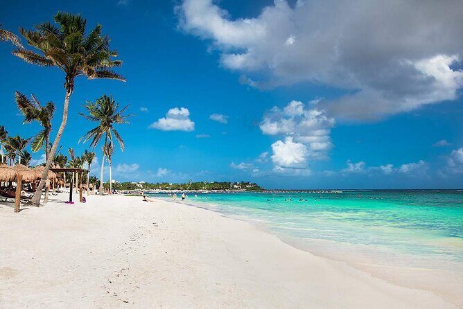 Half Day Private Snorkeling with Turtles and Majestic Cenotes - Who This Tour Suits Best in Tulum
