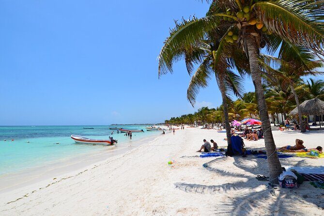 Half Day Private Snorkeling with Turtles and Majestic Cenotes - Price and Value: What $220 Includes (and What’s Extra)