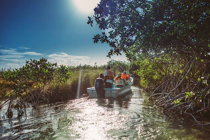 Half-Day Tour Discovering Sian Ka´an with Lunch - Stop 2: Boca Paila Wildlife Watching (Where Animals Show Up)