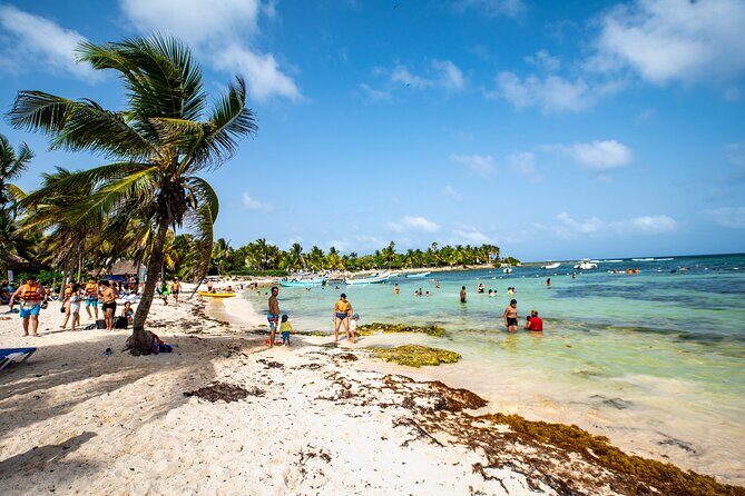 Half-day Tour Sea Turtles Encounter in Akumal Bay - Timing: 4–5 Hours Total, Depending on Where You Stay