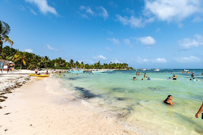 Half-day Tour Sea Turtles Encounter in Akumal Bay - Price and Fees: What $98.12 Really Covers