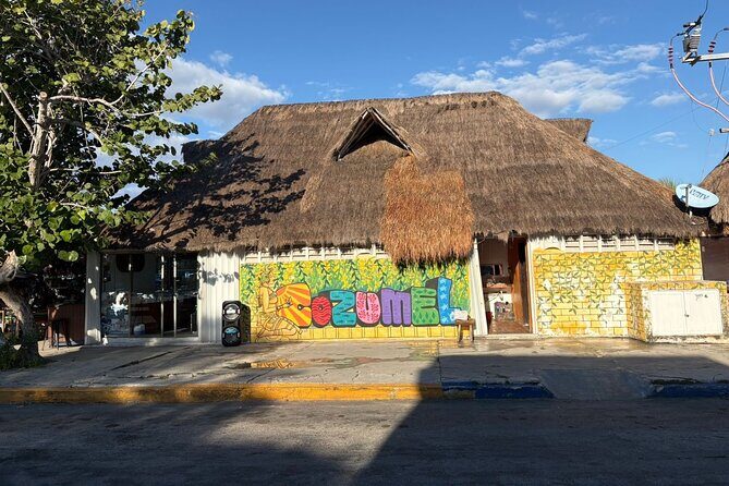 History walking - Foodie Cozumel tour - Mercado Municipal: birria snack and local fruit tastes