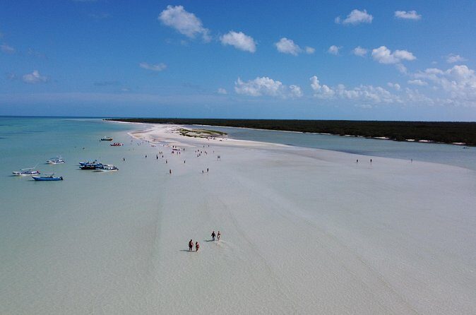 Holbox island: Boat tour & golf cart ride, Lunch and open bar - Punta Mosquito: Swimming, Secluded Beach Time, and Birdwatching