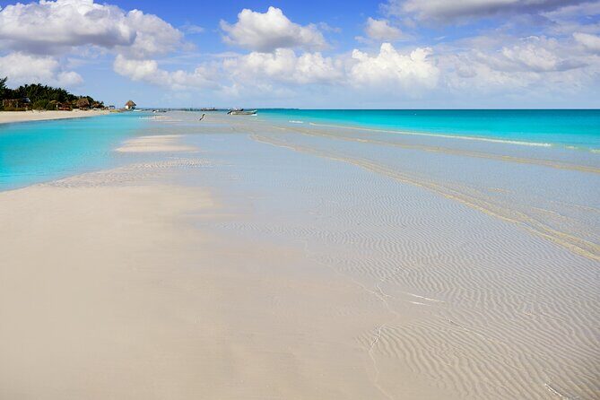 Holbox island: Boat tour & golf cart ride, Lunch and open bar - Golf Cart Ride Through Holbox Streets (Weather Permitting)