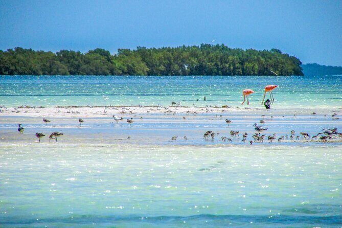 Holbox Island Tour in Mexico with Lunch - Holbox in One Day: What the 12 Hours Really Means