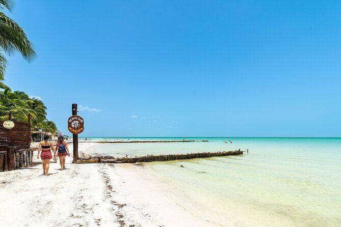Holbox Island Tour in Mexico with Lunch - Stop 2: Isla de la Pasion and Bird-Spotting Seasonality