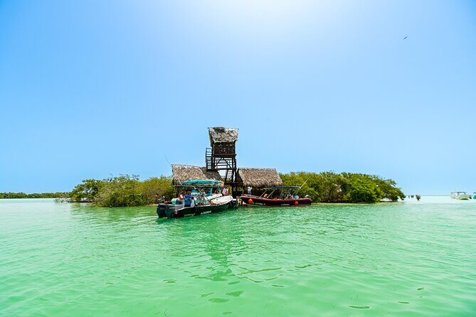 Holbox Island Tour in Mexico with Lunch - Getting There: Pickup, Minivan Rides, and Boat Timing