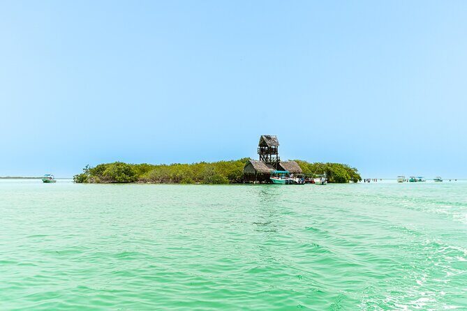 Holbox Island Tour with Pasion Island and Punta Mosquito - The long-to-Holbox segment: lagoon boat + Yum Balam Nature Reserve