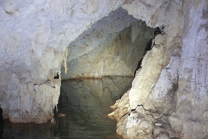Horse Ride to Cenote Mil Columnas - The guide and the vibe: why small groups feel better here