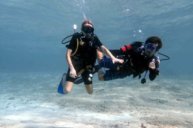 Introductory Diving Class in the Cozumel Reefs - Key highlights you’ll care about