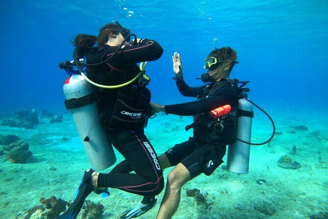 Introductory Diving Class in the Cozumel Reefs - No certification needed: the mini class that makes first-time scary-to-fun
