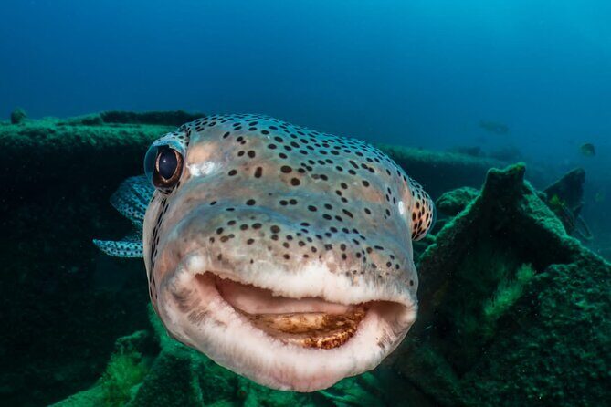 Introductory Diving Class in the Cozumel Reefs - Depth limit at 12 meters: what it means for comfort and control