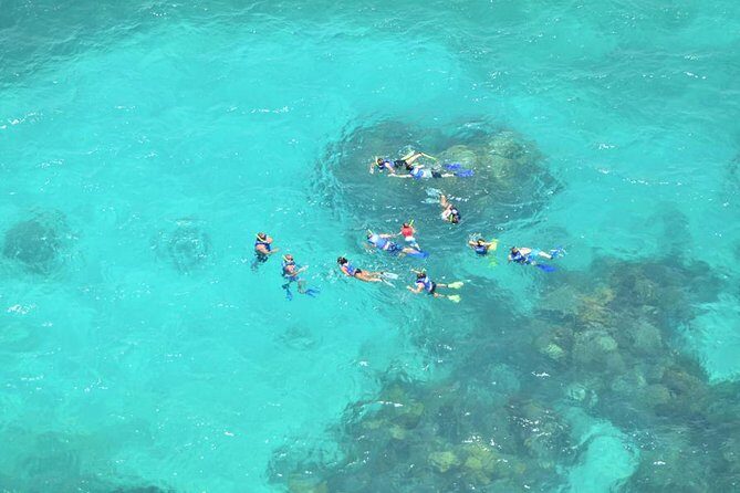 Isla Contoy Adventure Tour & Isla Mujeres from Playa del Carmen - Food, open bar, and small-group energy on the water