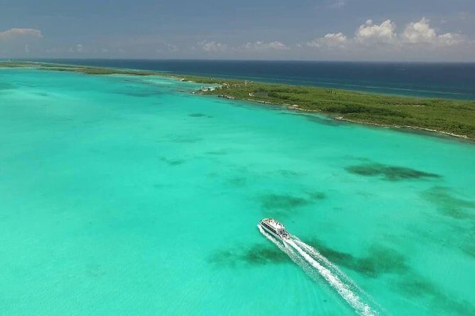 Isla Contoy Adventure Tour & Isla Mujeres from Playa del Carmen - Who should book this Isla Contoy + Isla Mujeres tour?