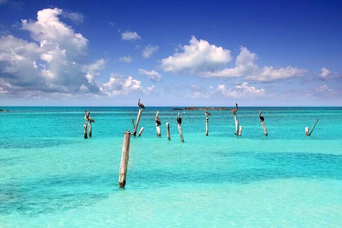 Isla Contoy Adventure Tour & Isla Mujeres from Playa del Carmen - Should you book it?