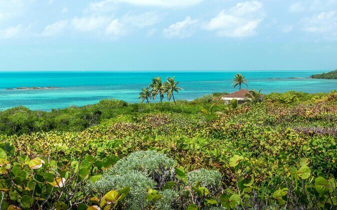 Isla Contoy Hidden Beauty! Transportation from Riviera Maya - Key things that make this tour worth your time