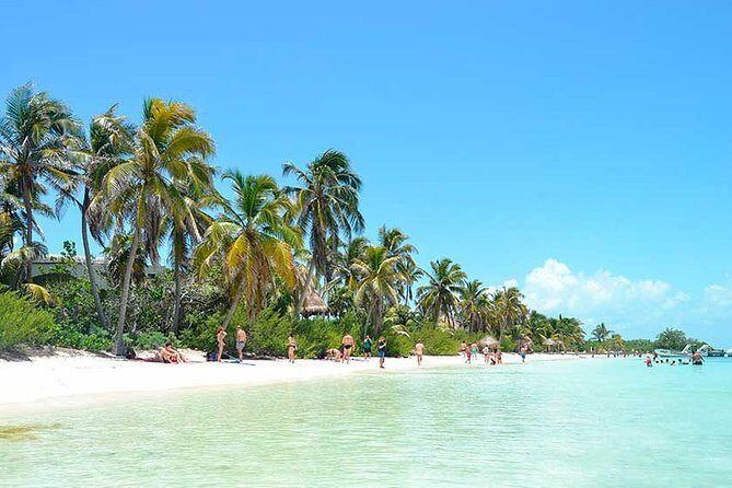 Isla Contoy Hidden Beauty! Transportation from Riviera Maya - Getting to the marina: pickup realities and how to avoid stress