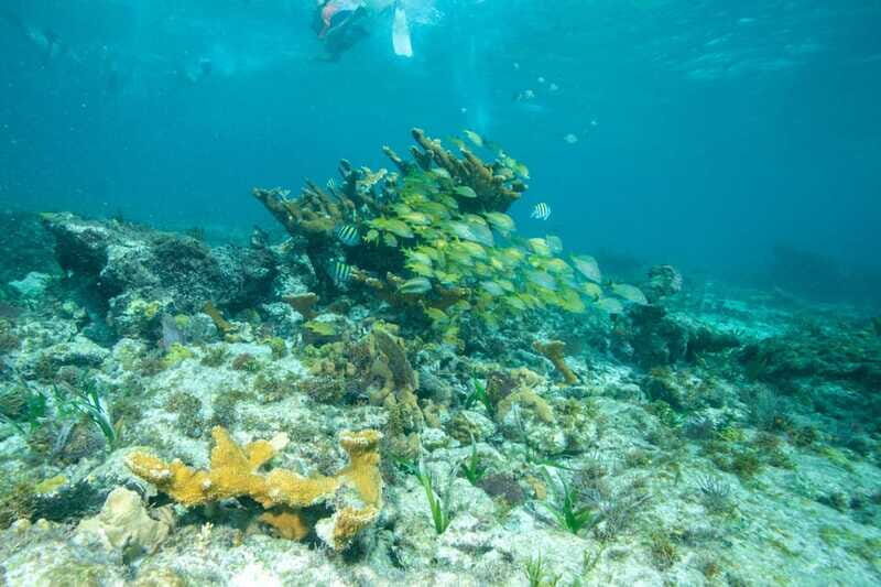 Isla Mujeres: Full Day Private Catamaran with Snorkeling - Sunset on the way back: when timing really pays off