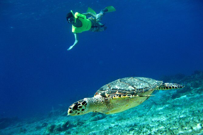 Island Flavors, Tequila & Beach Time - From Hard Rock Cafe to the Mayan Village Stop
