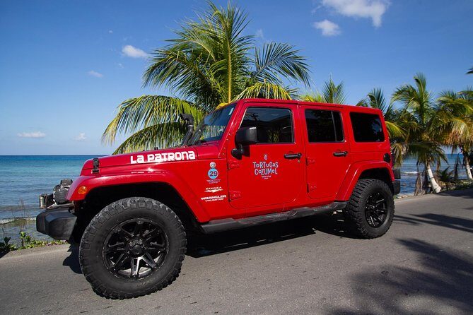 Jeep Exploration & All Inclusive Tortugas Beach Break (Private) - What you’re really paying for: jeep sightseeing + Tortugas Beach Club
